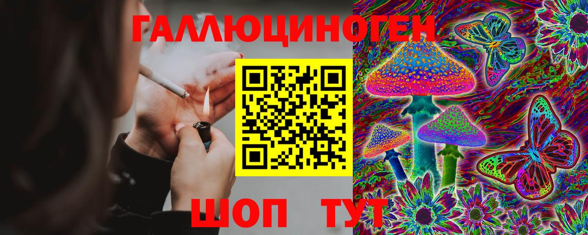 Псилоцибиновые грибы Magic Shrooms  что такое наркотик  Псилоцибиновые грибы прущие грибы  Елабуга 