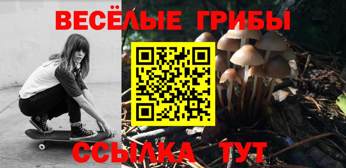 Галлюциногенные грибы Magic Shrooms Елабуга