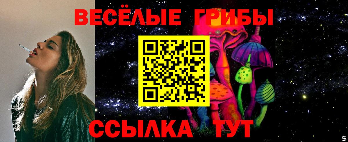 Псилоцибиновые грибы мицелий Елабуга