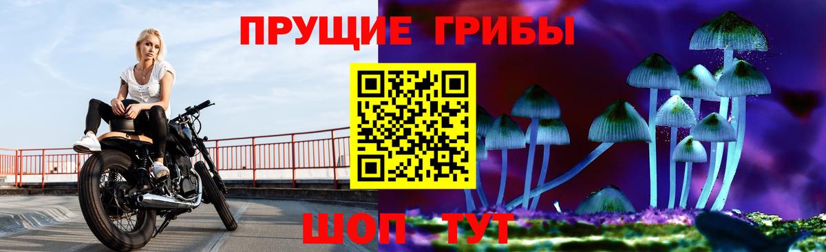 Елабуга  Псилоцибиновые грибы прущие грибы  Псилоцибиновые грибы прущие грибы  Вход с VPN 